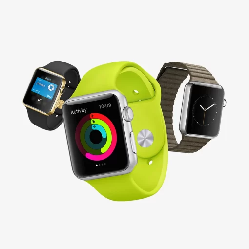 TimeLoop Watch